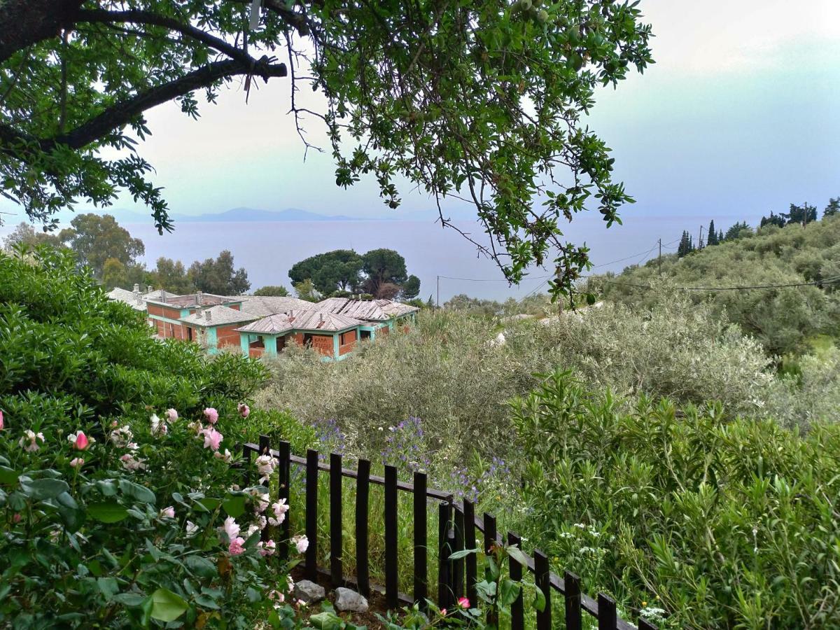 Persefoni House Villa Áfissos Luaran gambar