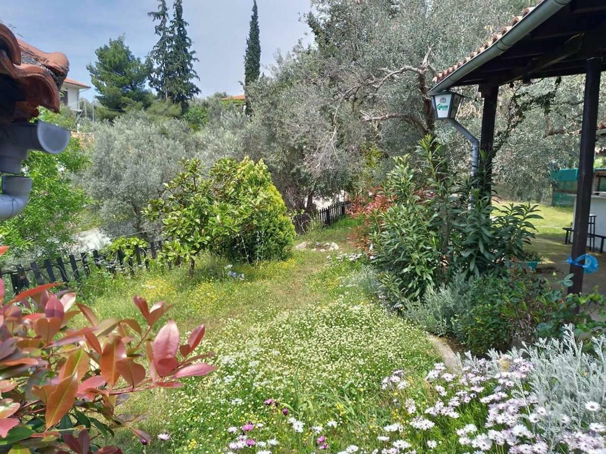 Persefoni House Villa Áfissos Luaran gambar